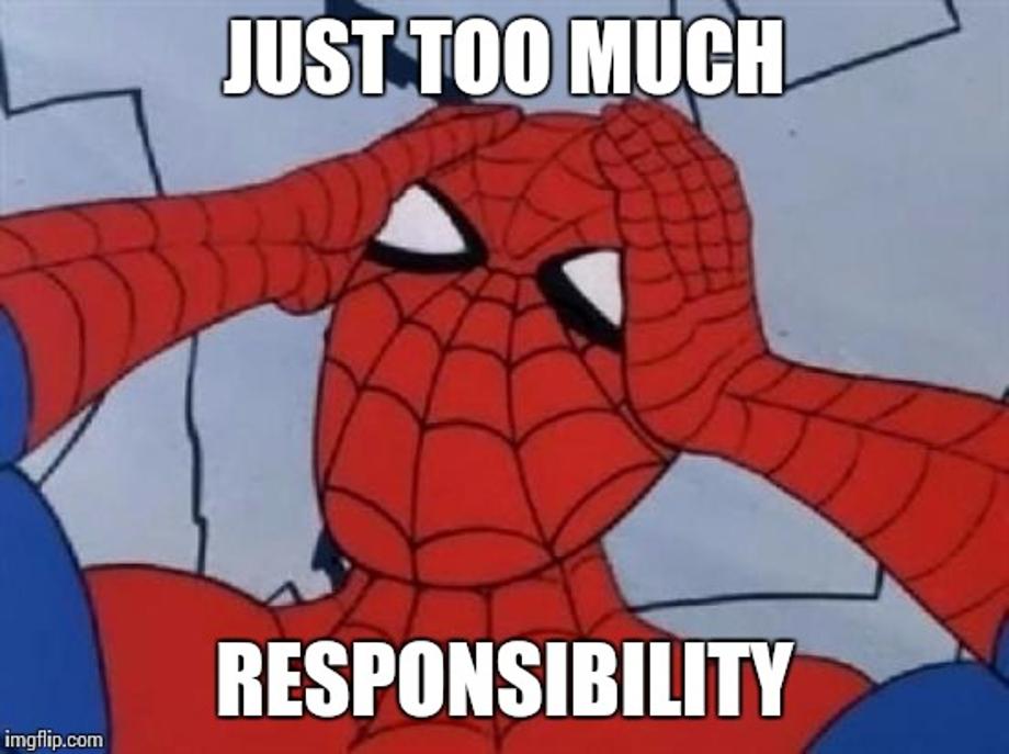 Image result for too much responsibility meme