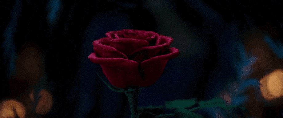 Image result for beauty and the beast gif