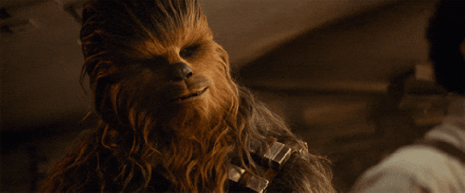 Chewie The Rise Of Skywalker GIF by Star Wars