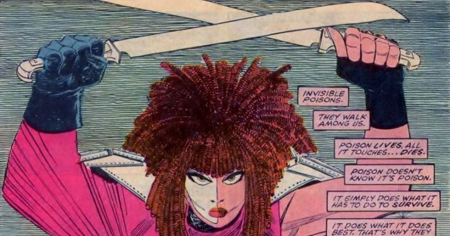 Image result for typhoid mary