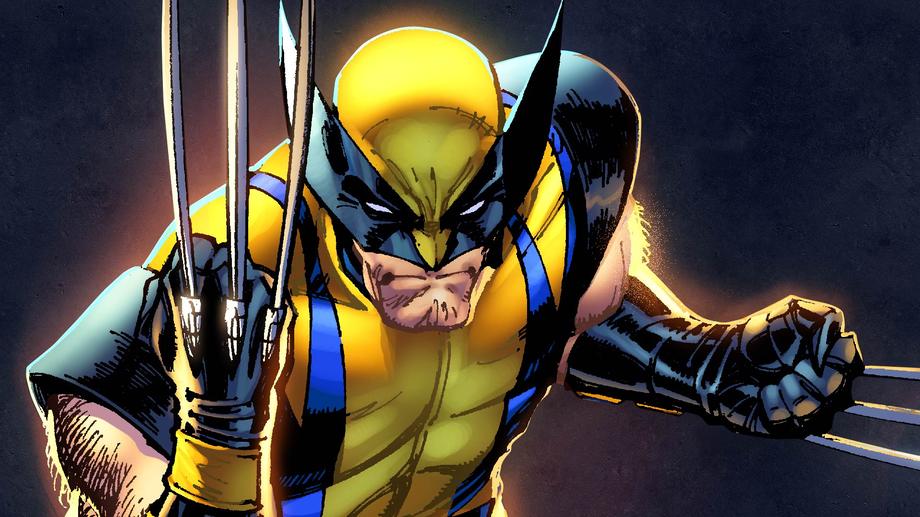 Image result for wolverine