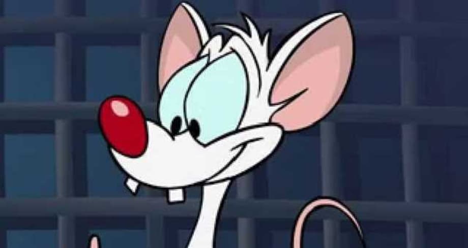 ANIMANIACS: Rob Paulsen Reveals British Humor Crafted The Voices Of Pinky And Dr. Scrathansniff - Exclusive