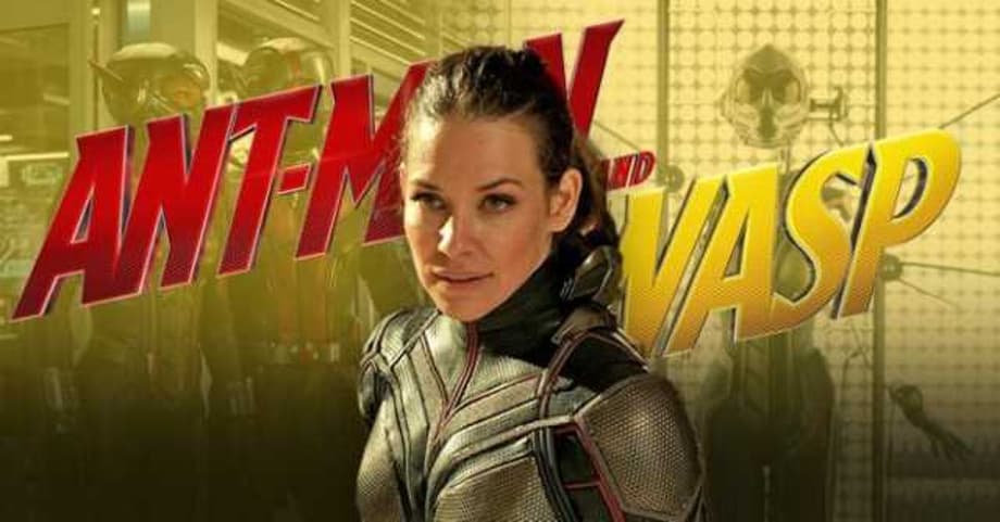 ANT-MAN AND THE WASP's Evangeline Lilly On Crafting Hope's Fighting Style And Learning About The Film's Title