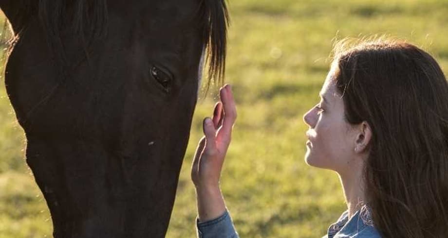 BLACK BEAUTY: Kate Winslet Voices The Titular Horse In First Trailer For New Disney+ Adaptation