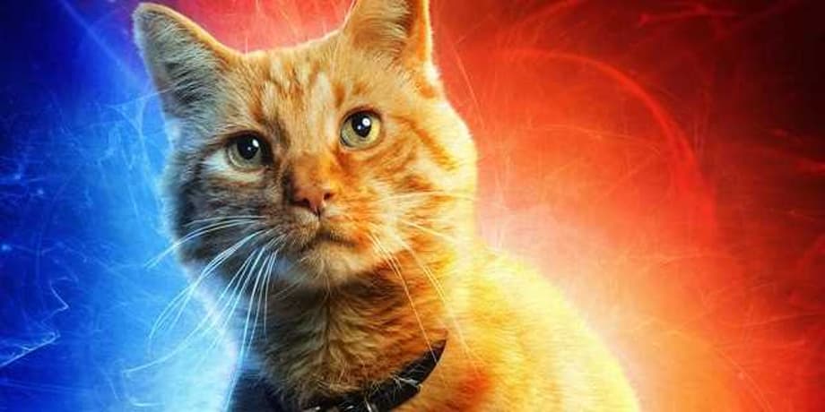 CAPTAIN MARVEL: Here's Why Chewie Was Renamed &quot;Goose&quot; In The Marvel Studios Movie