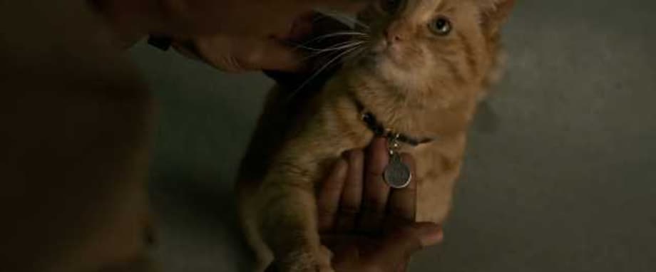 CAPTAIN MARVEL Theater Standee Features Brie Larson's Powered-Up Hero & Her Feline Friend