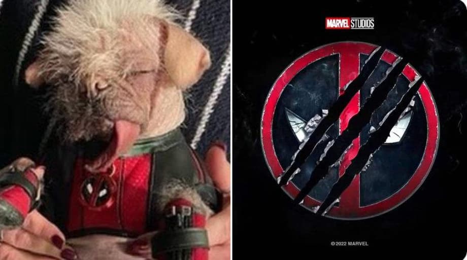 DEADPOOL 3: Dogpool Officially Wraps Filming; Shares New BTS Photo & Heartfelt Instagram Message