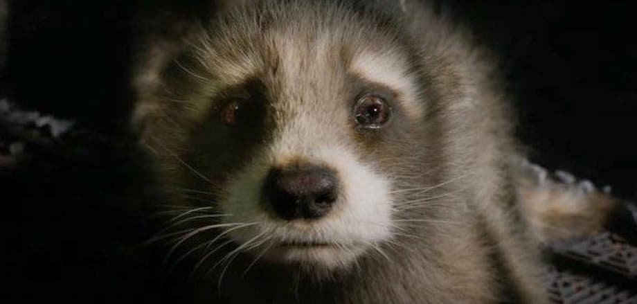 GOTG VOL. 3 Director James Gunn Says He &quot;Came Back&quot; To Finish Rocket's Story; New Still Released