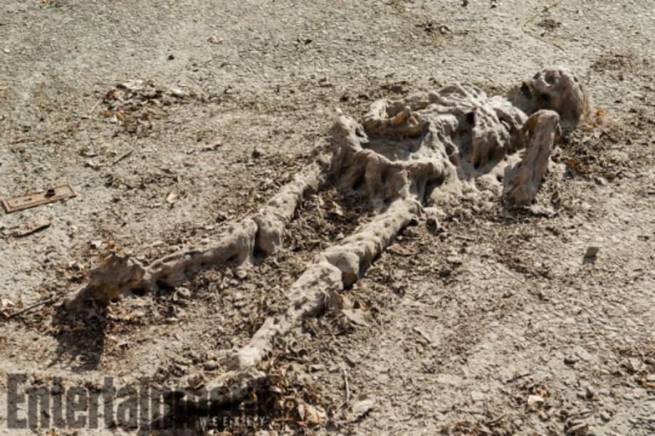 More Stills From Next Month's Return Of THE WALKING DEAD Tease A New Group Of Survivors