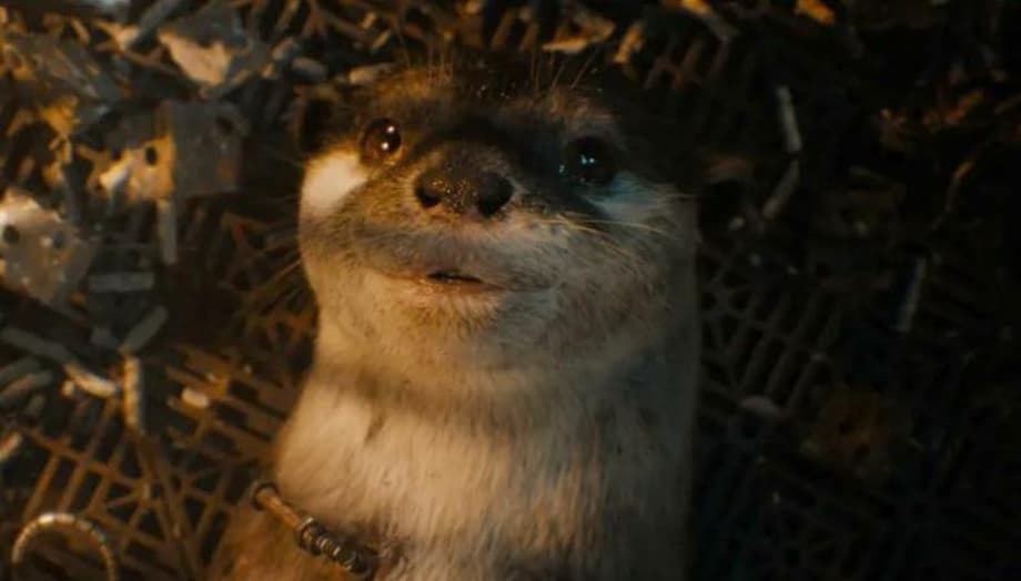 New GUARDIANS OF THE GALAXY VOL. 3 Clip Introduces Rocket's Adorable Counter-Earth Pals