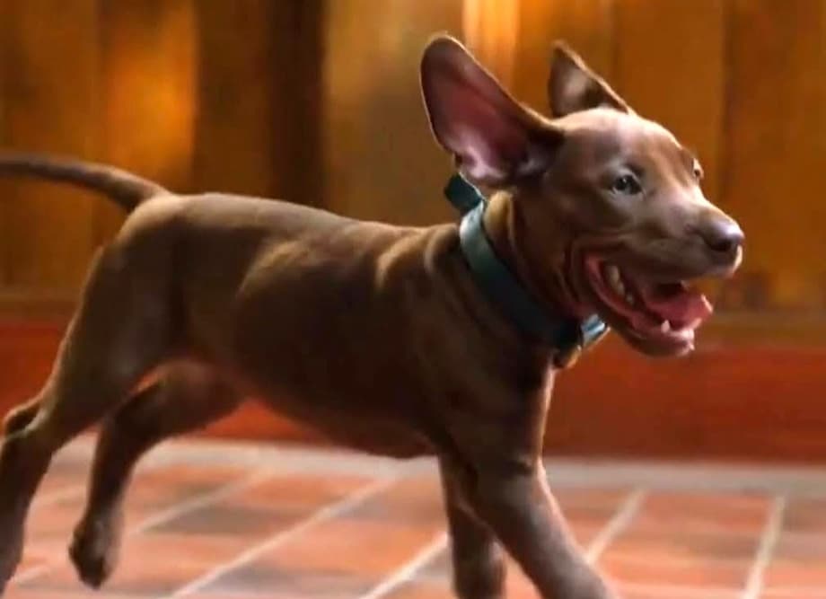 Scooby-Doo: Origins - Netflix Reveals New Look At Live-Action Show's Adorable Canine Star