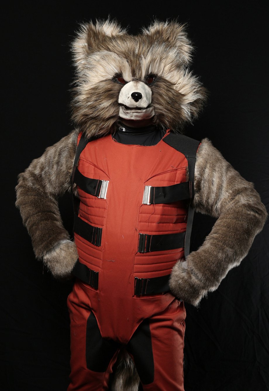 NEW YORK, NY - OCTOBER 12: Comic Con attendee Charles Canedo poses as Rocket during the 2014 New York Comic Con at Jacob Javitz Center on October 12, 2014 in New York City. (Photo by Neilson Barnard/Getty Images)