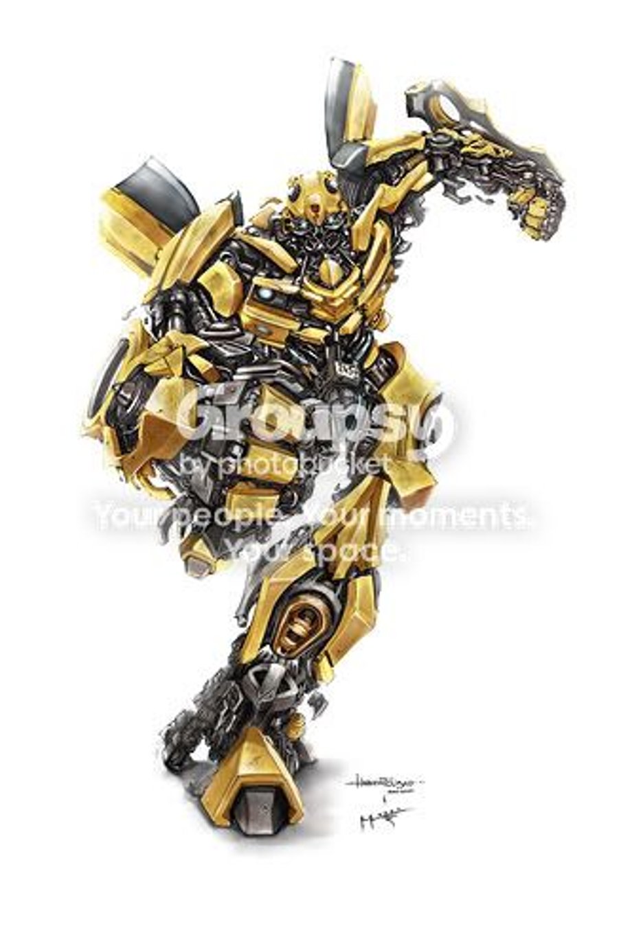 bumblebee Pictures, Images and Photos