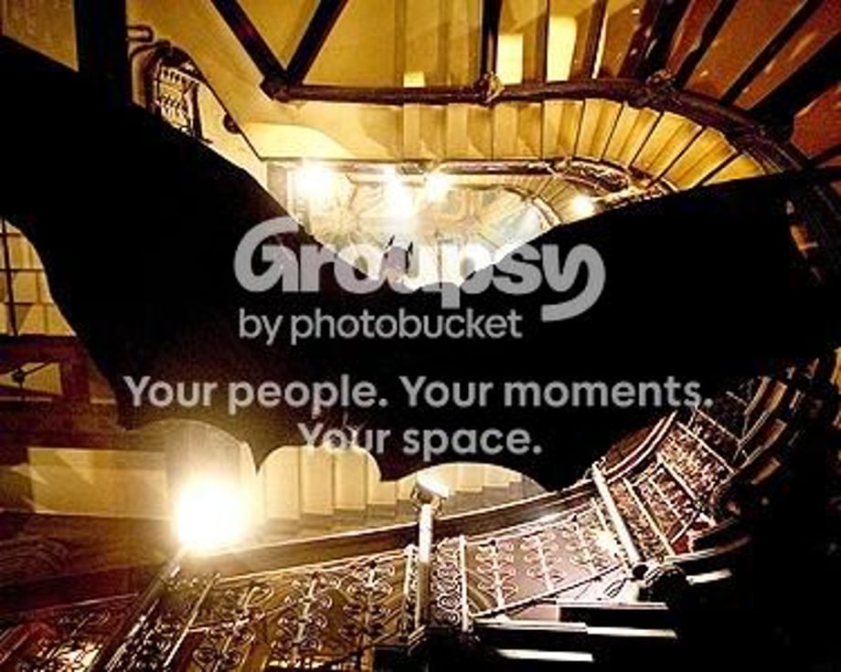 bat Pictures, Images and Photos
