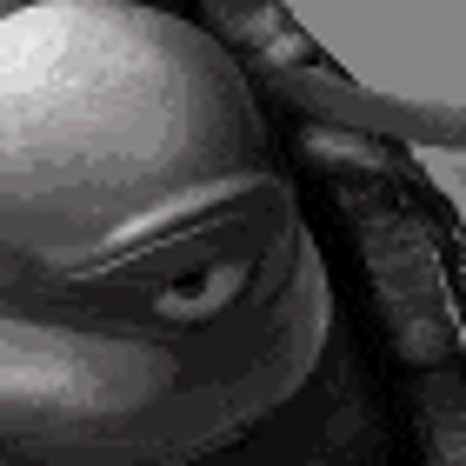 tmnt Pictures, Images and Photos