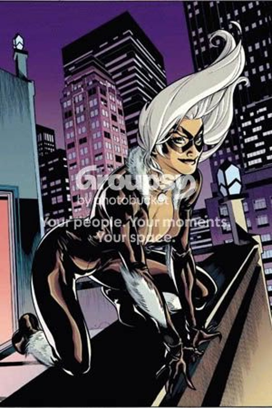 black cat Pictures, Images and Photos
