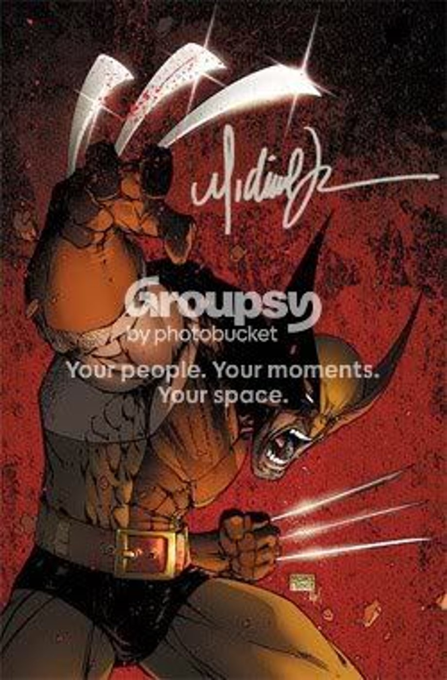wolverine Pictures, Images and Photos
