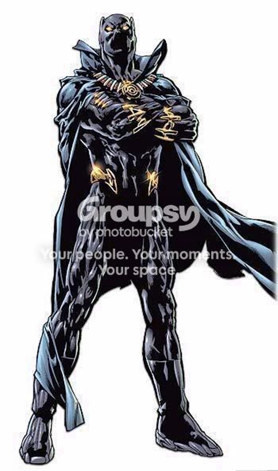Black Panther Pictures, Images and Photos