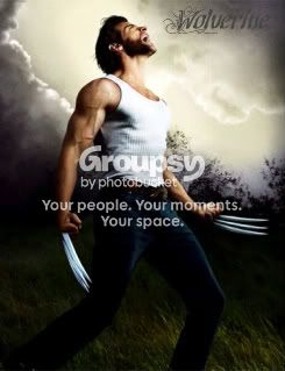 Wolverine Pictures, Images and Photos