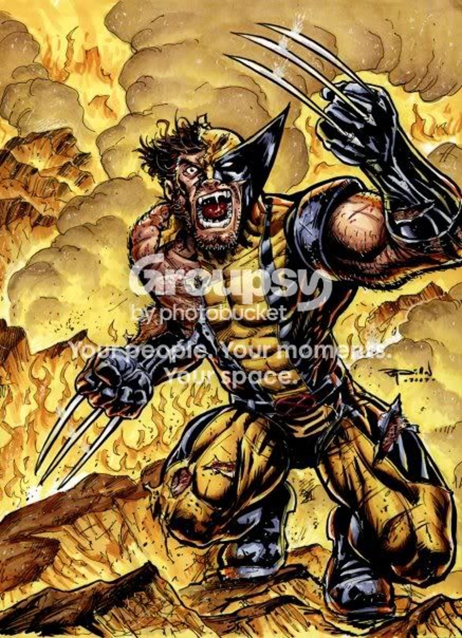 Wolverine Pictures, Images and Photos