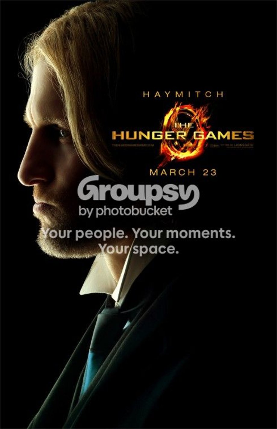  photo hunger_games_ver20_zps4973f44b.jpg