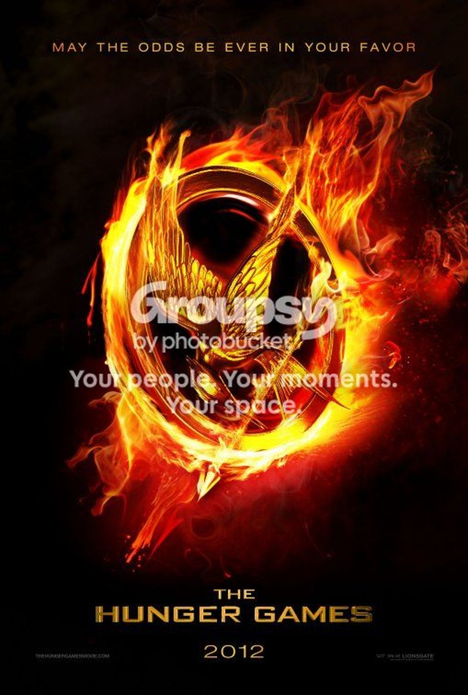  photo hunger_games_zps9493a8d6.jpg