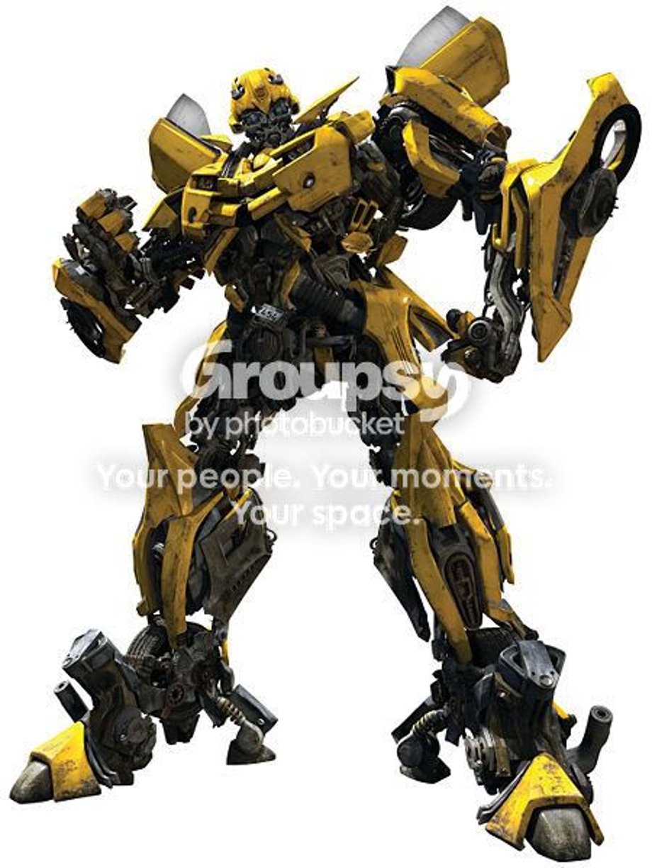 Bumblebee Pictures, Images and Photos