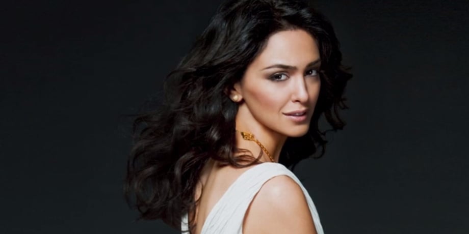 Image result for nazanin boniadi
