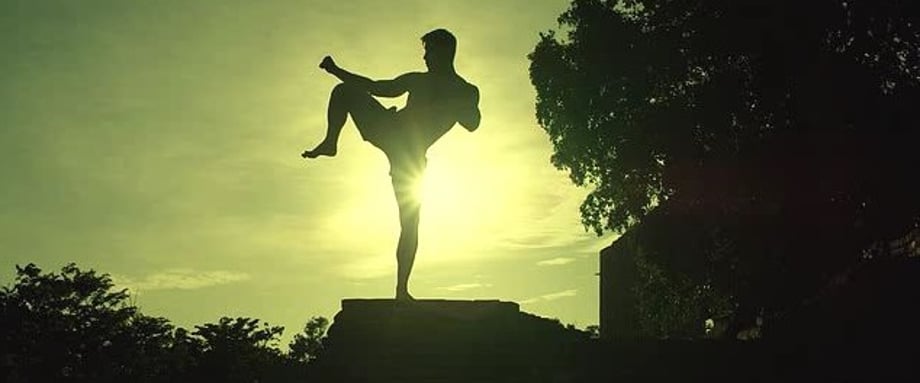 Kickboxer: Vengeance (2016)