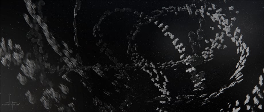 Explorations of the swarm