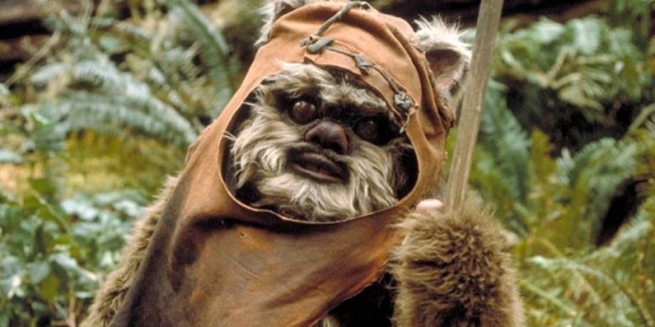 Wicket