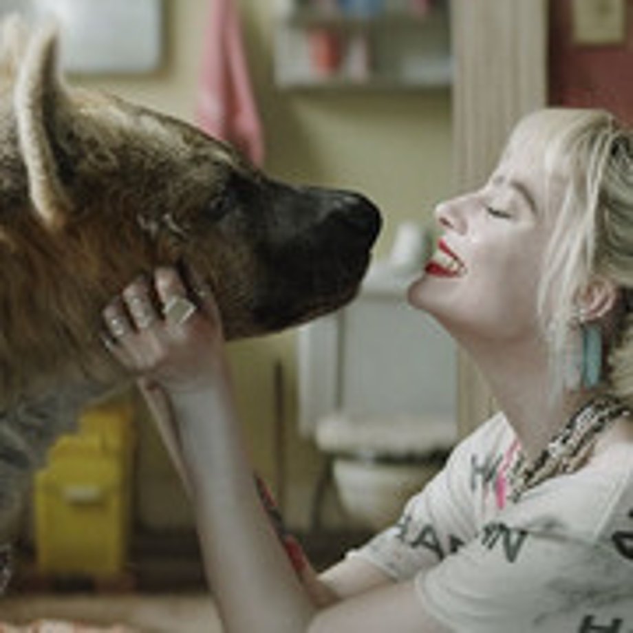 HARLEY QUINN: BIRDS OF PREY Before And After VFX Images Reveal How Harley's Pet Hyena Was Created