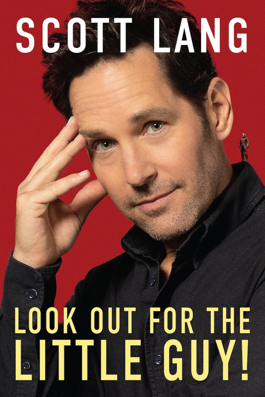 Look-Out-For-the-Little-Guy-copy
