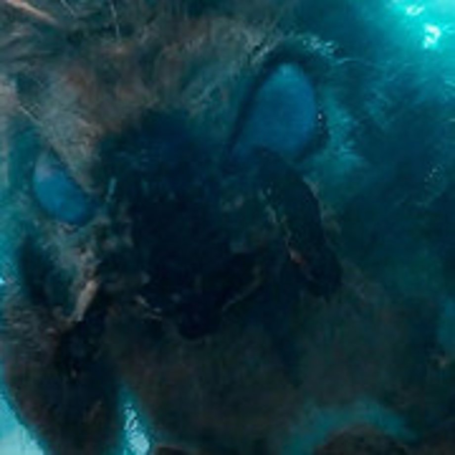 Mothra