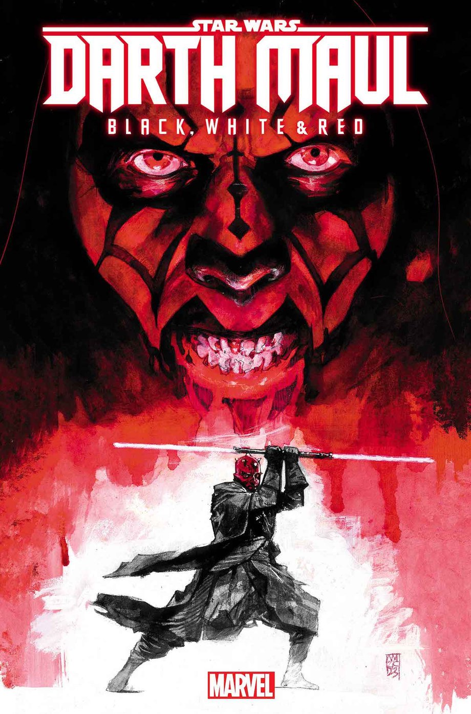 STWMAULBWR2024001-Cover