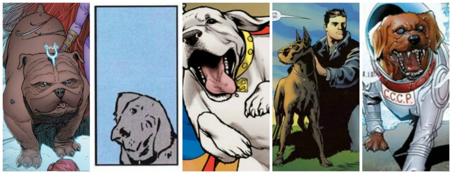 POLL: Who's Your Top Super Dog? #NationalDogDay