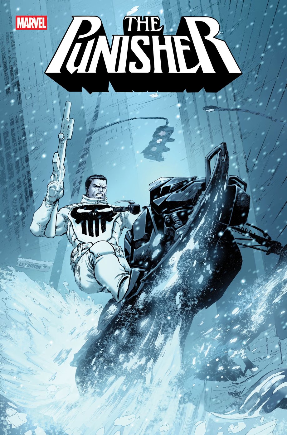 pun2026012 cover