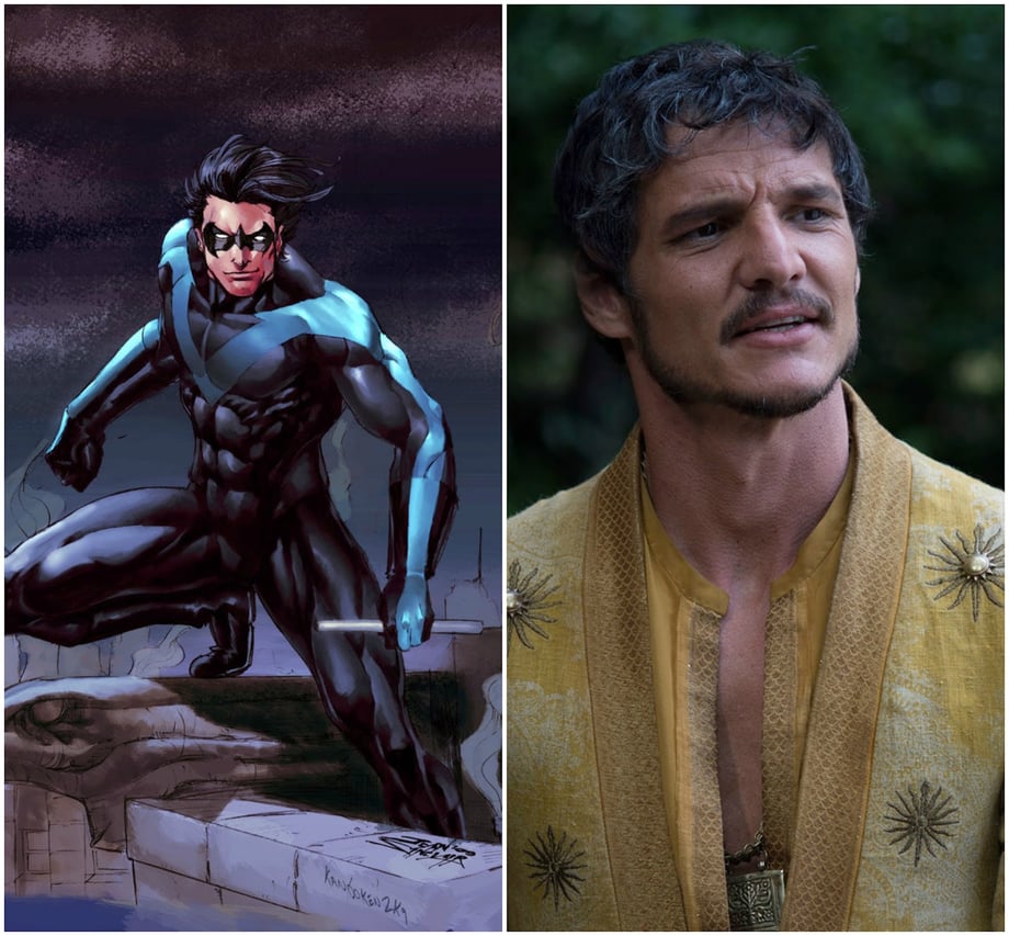 nightwing got.jpg