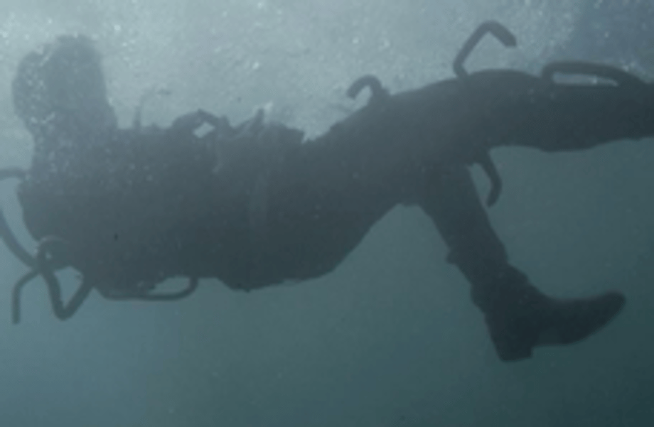 228px-Wolverine_drowning.png