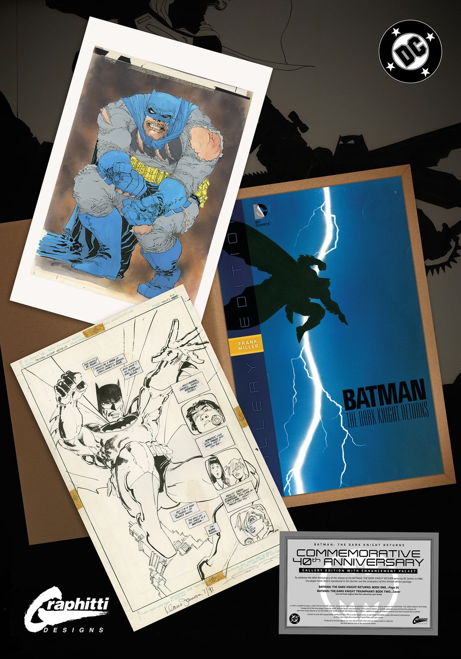 Batman: The Dark Knight Returns Zoop Package
