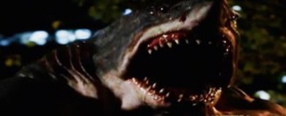 KING SHARK!