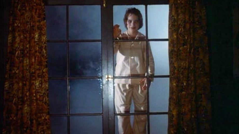 Image result for salem's lot open the window