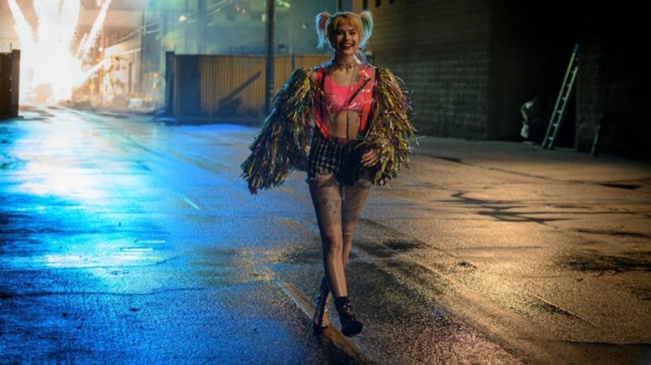 Image result for birds of prey and the fantabulous