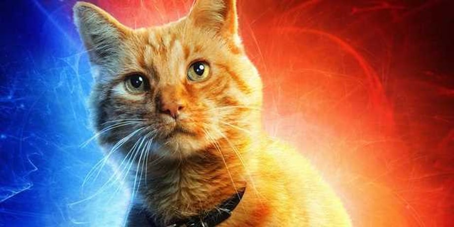 CAPTAIN MARVEL: Here's Why Chewie Was Renamed "Goose" In The Marvel Studios Movie