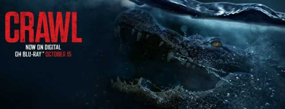 CRAWL Exclusive Interview With Director Alexandre Aja About His Hit Killer Alligator Disaster Movie