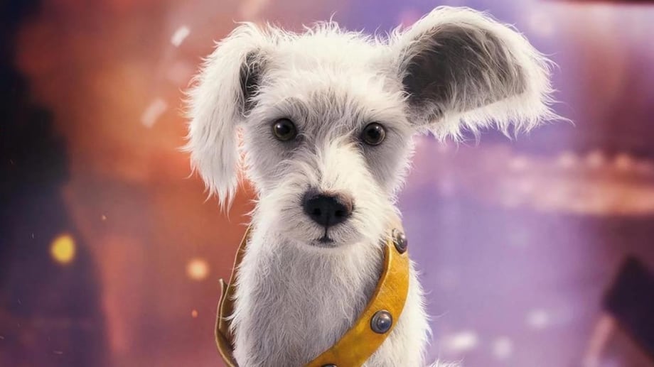 Does Krypto Die In Supergirl? Breaking Down Who Survives (And Who Doesn't) In Latest DCU Movie - Spoilers