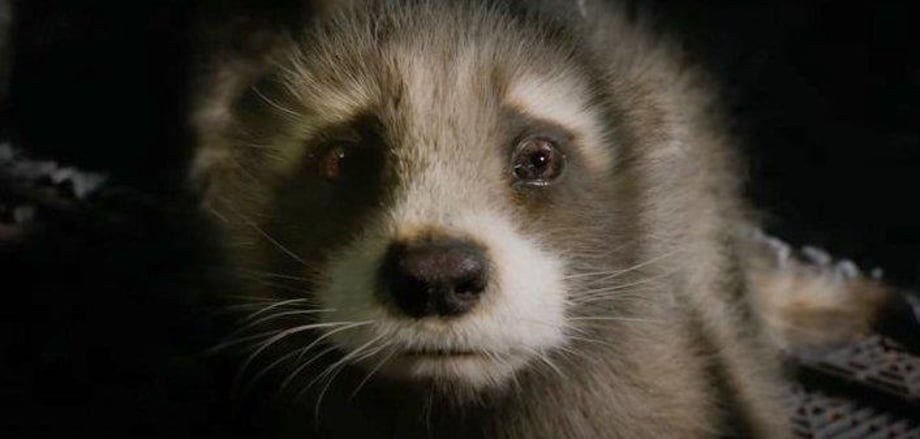 GOTG VOL. 3 Spoilers - Who Lives, Who Dies, And Who Could (Potentially) Return?