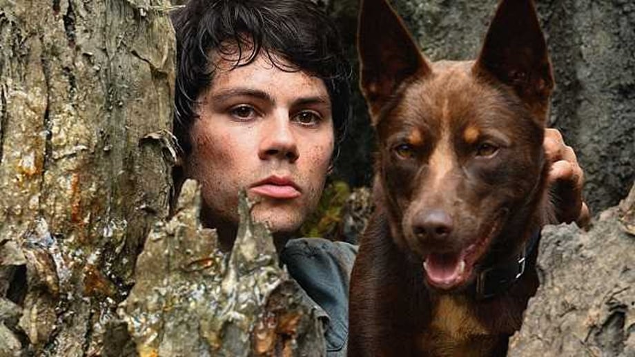LOVE AND MONSTERS Review; "[It] Does For Monster Movies What ZOMBIELAND Did For Zombies...But Better"