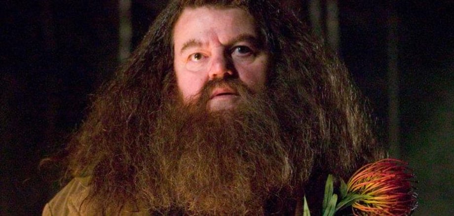 Robbie Coltrane, Beloved HARRY POTTER And JAMES BOND Star, Has Passed Away At The Age Of 72