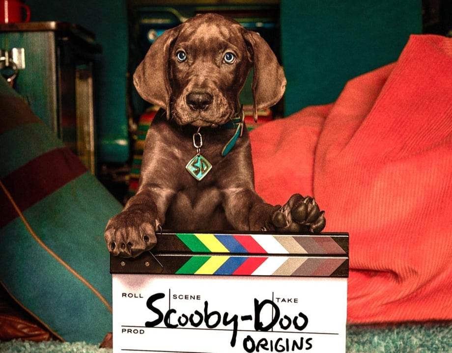 Scooby-Doo: Origins Officially Wraps Filming With A New Look At Scoob & The Mystery Inc. Gang